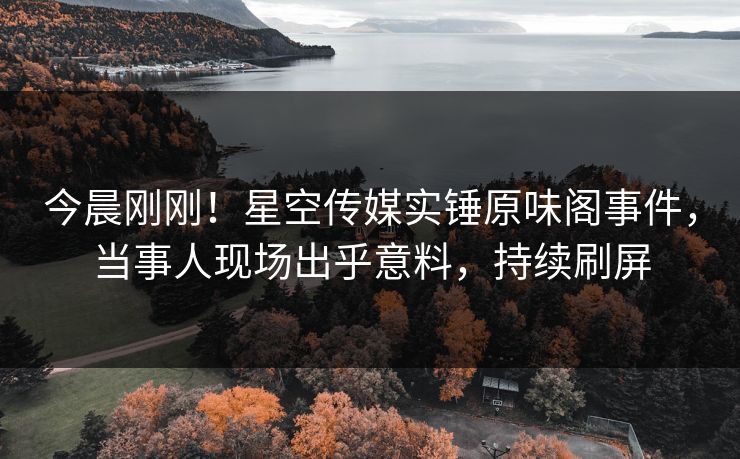 今晨刚刚！星空传媒实锤原味阁事件，当事人现场出乎意料，持续刷屏