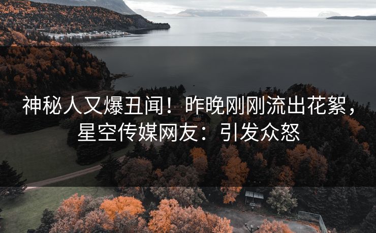 神秘人又爆丑闻！昨晚刚刚流出花絮，星空传媒网友：引发众怒
