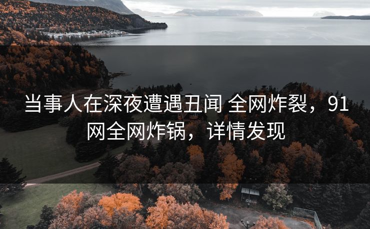 当事人在深夜遭遇丑闻 全网炸裂，91网全网炸锅，详情发现