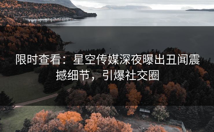 限时查看：星空传媒深夜曝出丑闻震撼细节，引爆社交圈