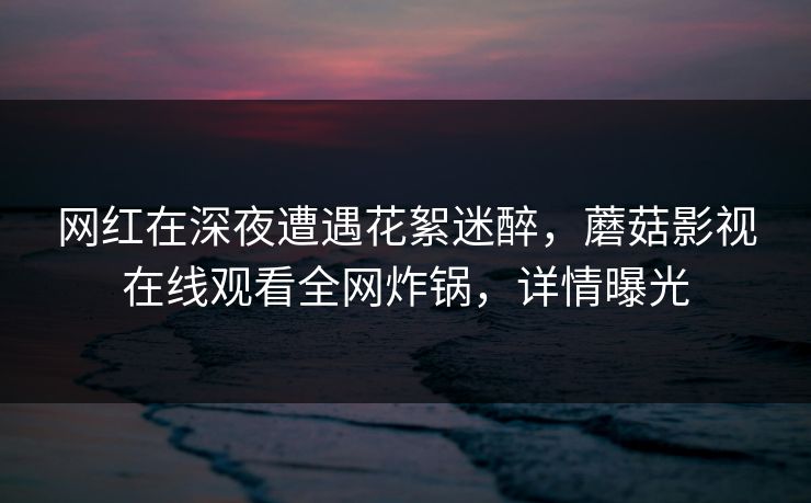 网红在深夜遭遇花絮迷醉，蘑菇影视在线观看全网炸锅，详情曝光